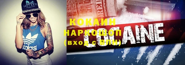 молекула духа Майский