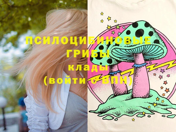 PSILOCYBIN Лиски