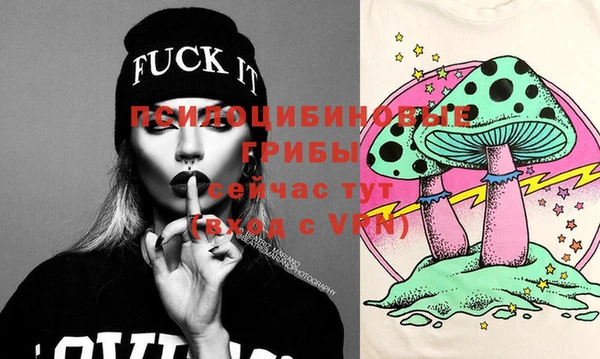 PSILOCYBIN Лиски