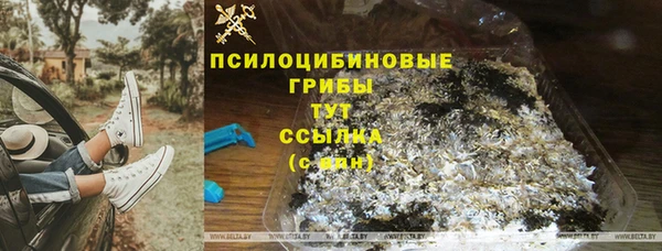 мдма Ладушкин