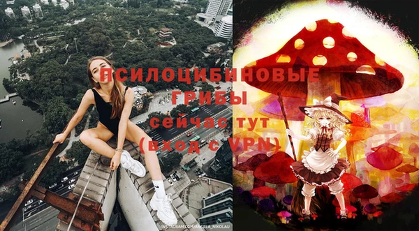 а пвп мука Козловка