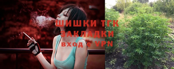 молекула духа Майский