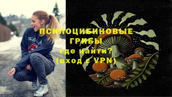 а пвп мука Козловка