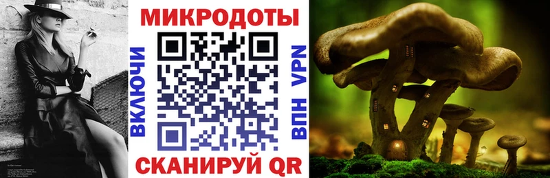 Купить где  Будённовск  Псилоцибиновые грибы мухоморы 